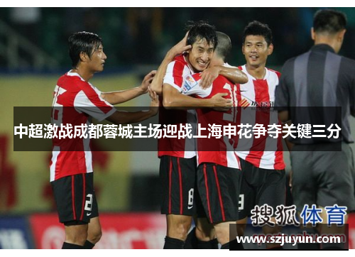 中超激战成都蓉城主场迎战上海申花争夺关键三分