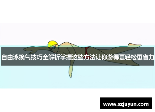 自由泳换气技巧全解析掌握这些方法让你游得更轻松更省力