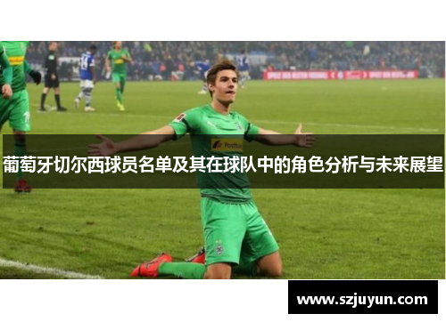 葡萄牙切尔西球员名单及其在球队中的角色分析与未来展望