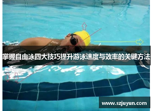 掌握自由泳四大技巧提升游泳速度与效率的关键方法